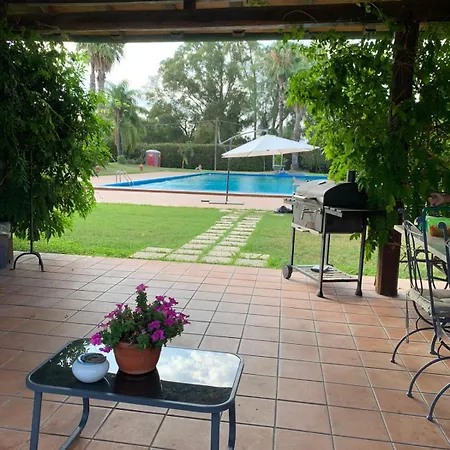 Garden *
