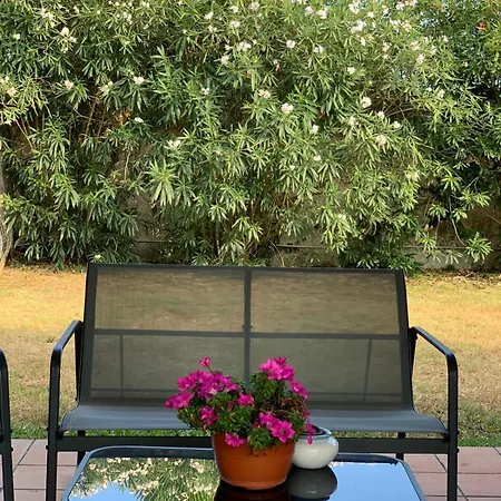 B&B Garden