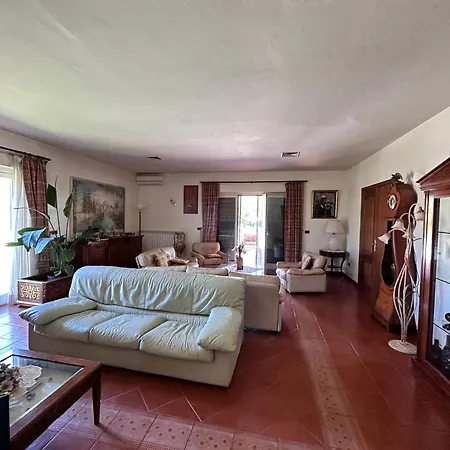 Garden ساباوديا